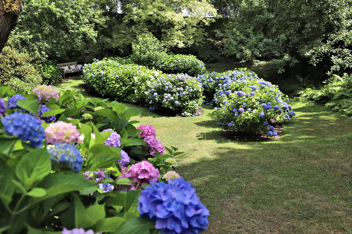 garten-ruecker-gartenbild-04