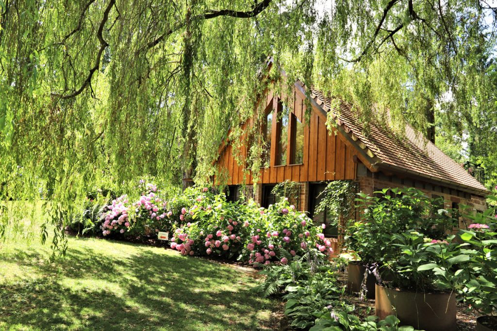 garten-ruecker-gartenbild-01