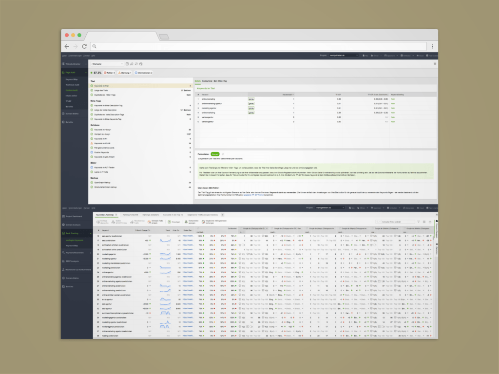 marktgetrieben-seo-tool-auswertung